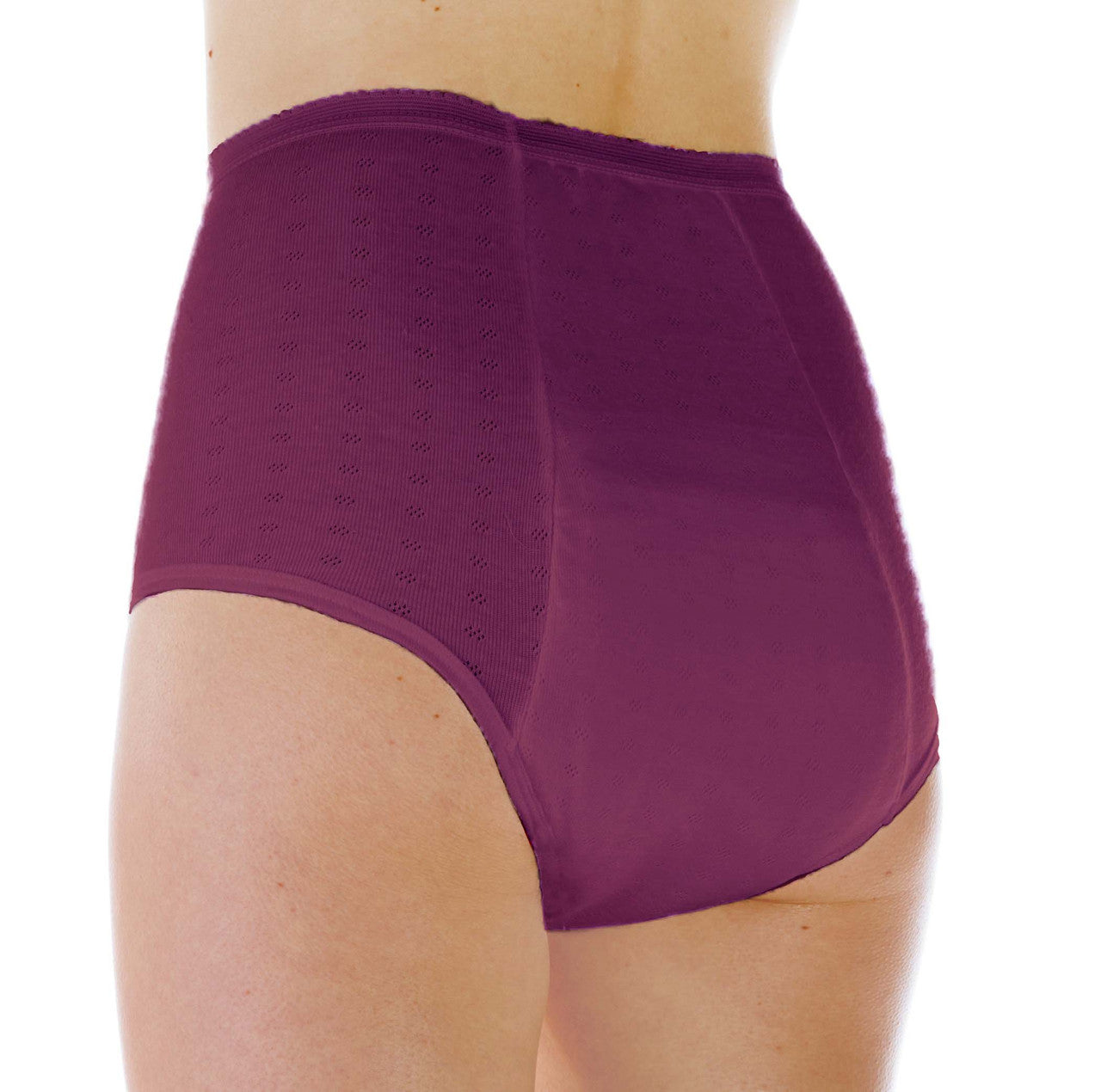 Super Absorbency Full Cut Panty (HDL100)- Back - Plum