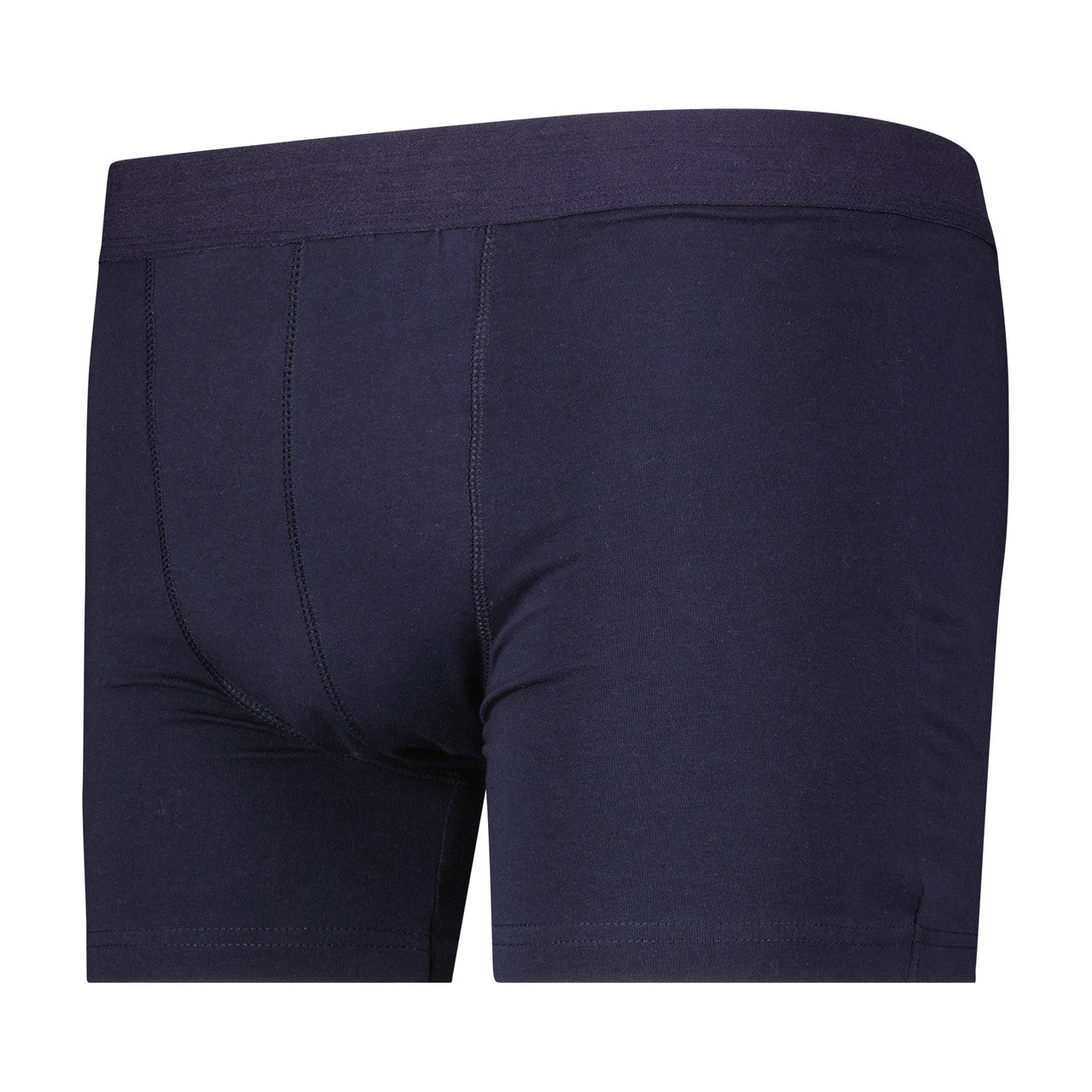 Full Coverage Regular Absorbency Trunk Boxer Brief (SKU: MBB300)