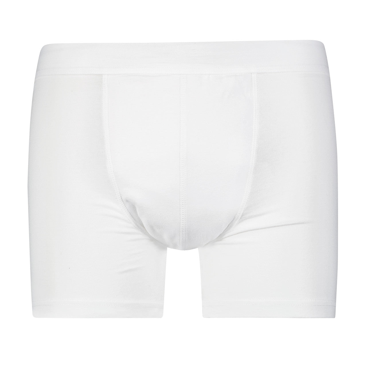 Full Coverage Regular Absorbency Trunk Boxer Brief (SKU: MBB300)