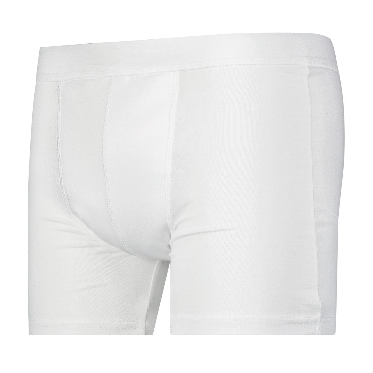 Full Coverage Regular Absorbency Trunk Boxer Brief (SKU: MBB300)