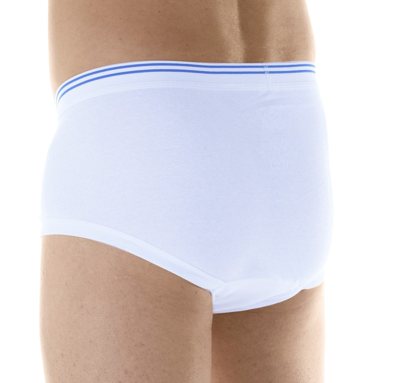 Classic Regular Absorbency Brief (M100)