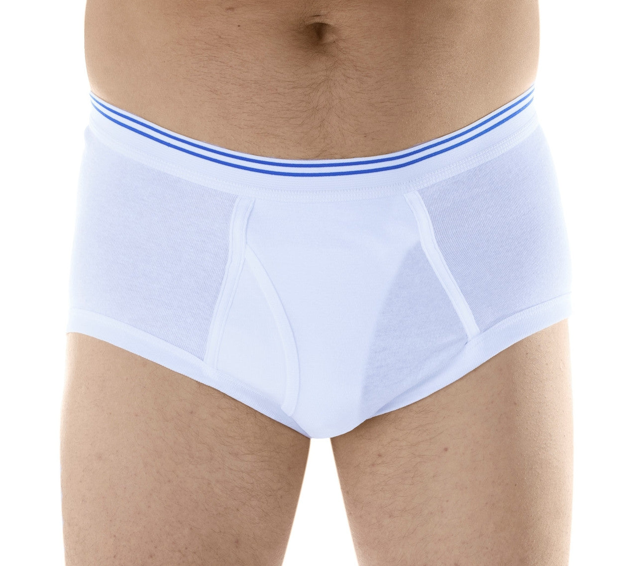 Classic Regular Absorbency Brief (M100)
