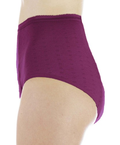 Super Absorbency Full Cut Panty (HDL100)- Profile - Plum