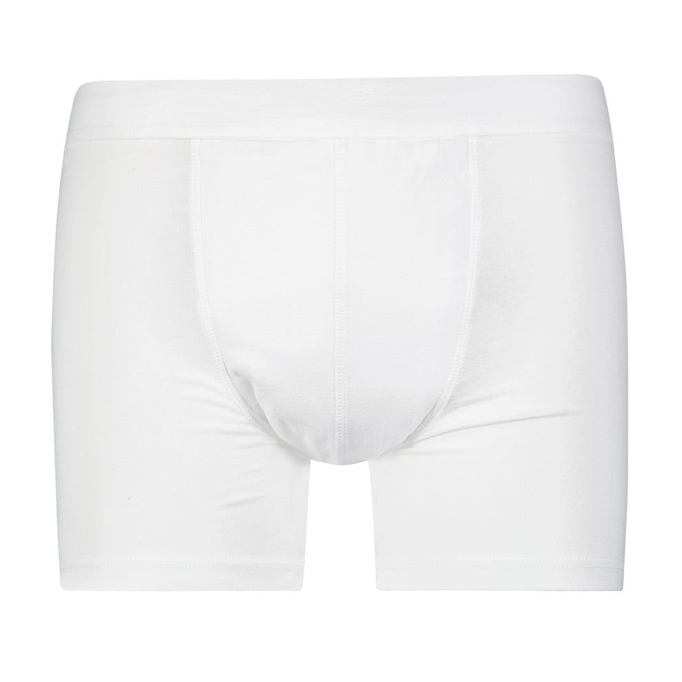 Full Coverage Regular Absorbency Trunk Boxer Brief (SKU: MBB300 ...